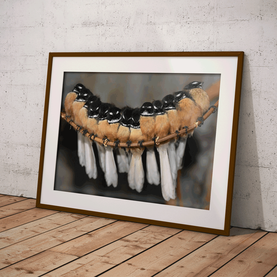 Photography & Prints