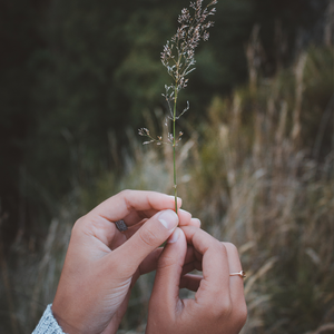 For the Nature Lovers