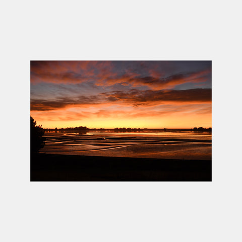 Blueskin Bay Sunrise Photo Print